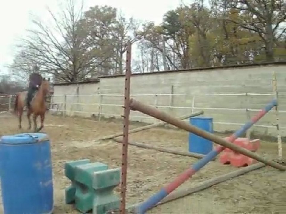 Lorenzo et moi saut d'obstacle!