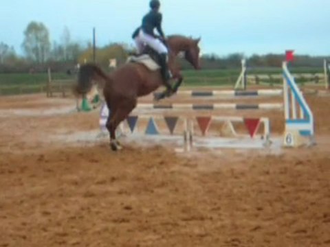 Concours de CSO aux Ecuries Billy le 15/11/2009