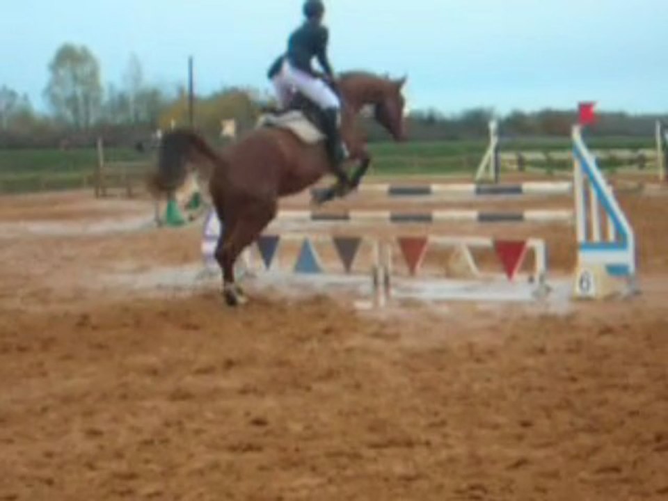 Concours de CSO aux Ecuries Billy le 15/11/2009