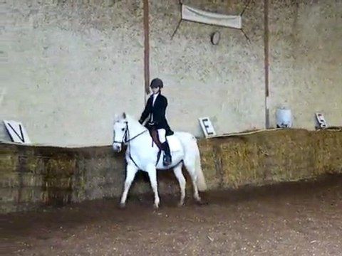 concours dressage ecurie d escazalou