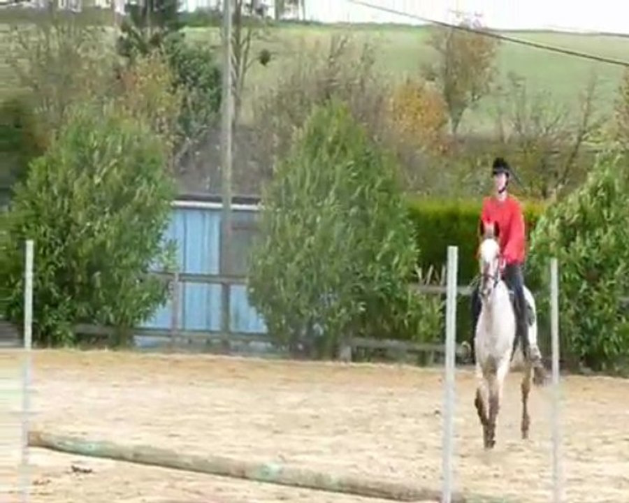 jo saut