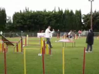 Brownie - Open Fos sur Mer