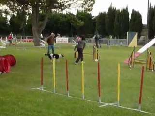 Bulba - GPF Fos sur Mer