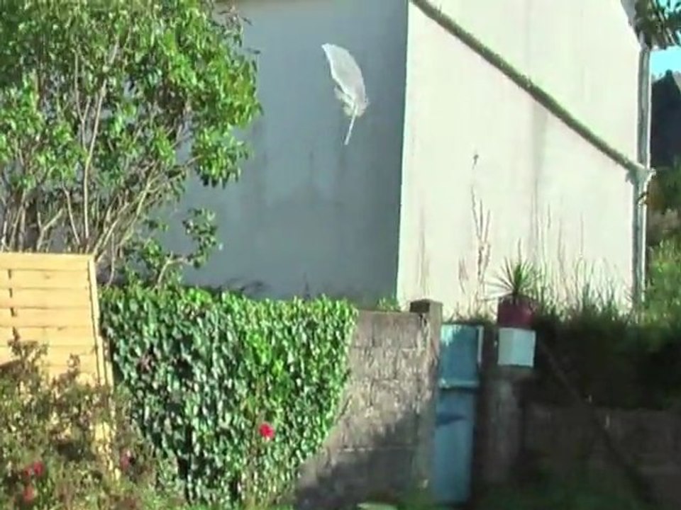 La plume