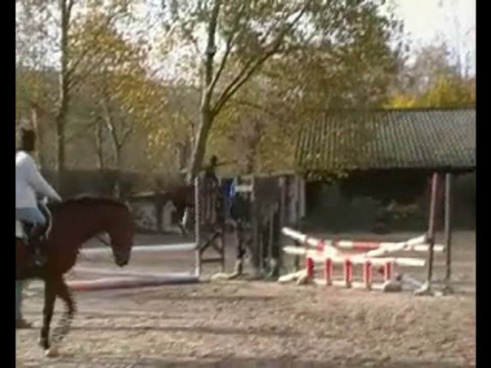 obstacle 2009 pierrette et papouille