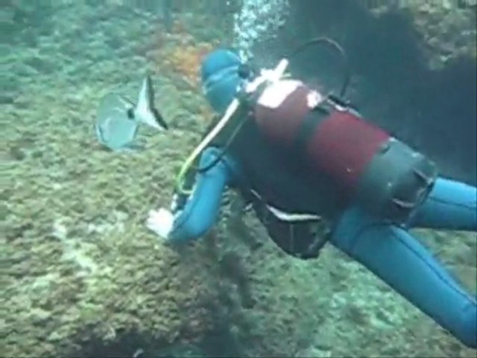 plongée aux iles Medes