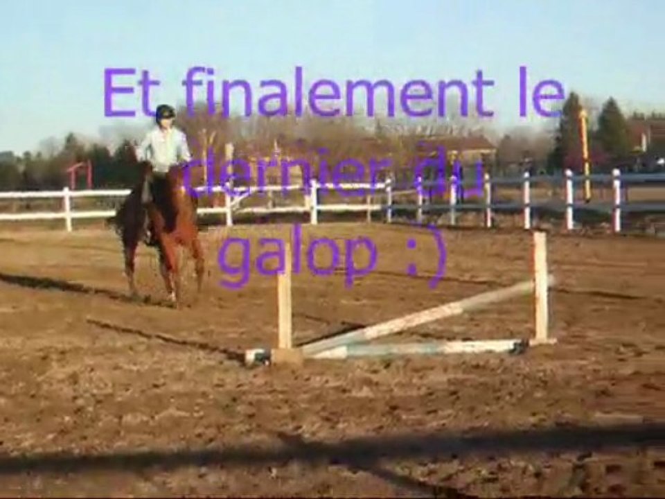 Premier cours de saut d'obstacle