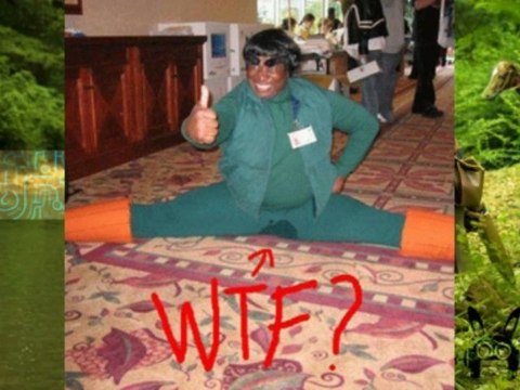 la verdad sobre las bobas preguntas de yahoo respuestas