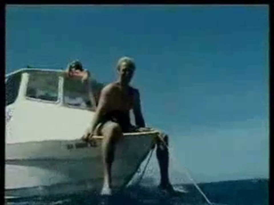 papillons de mer