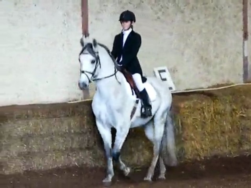 concours dressage ecurie d escazalou