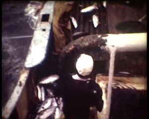 Pêche au thon : de la ligne à la canne