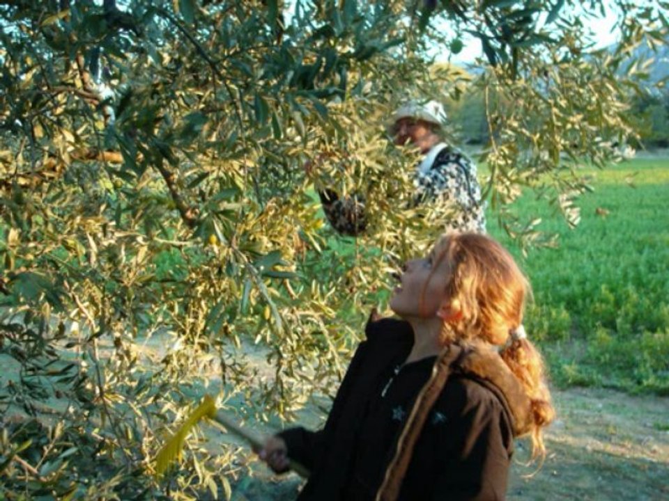 Séraphine 11 nov 09