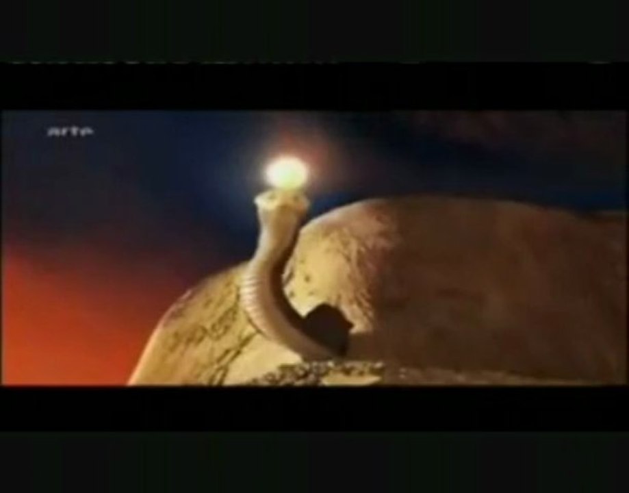 Apocalypsis 24  Le Temple de Dieu  2ème partie