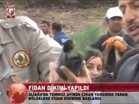 aliağada agaç dikimi