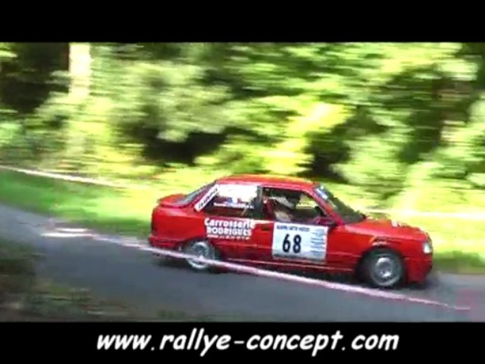 Rallye du thore 2008 CREMADES/BARDE 309 GTI F2000/14