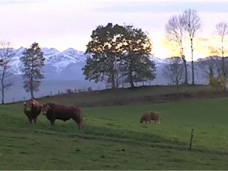 De l'Europe à la Région pour une nouvelle politique agricole