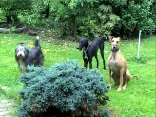 Cali_Djinn_Tania : Elle est pas belle la vie ?