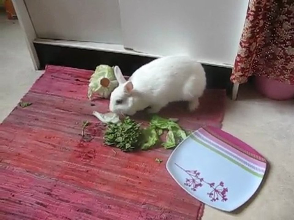 Mais j'en veux pas de ton assiette!