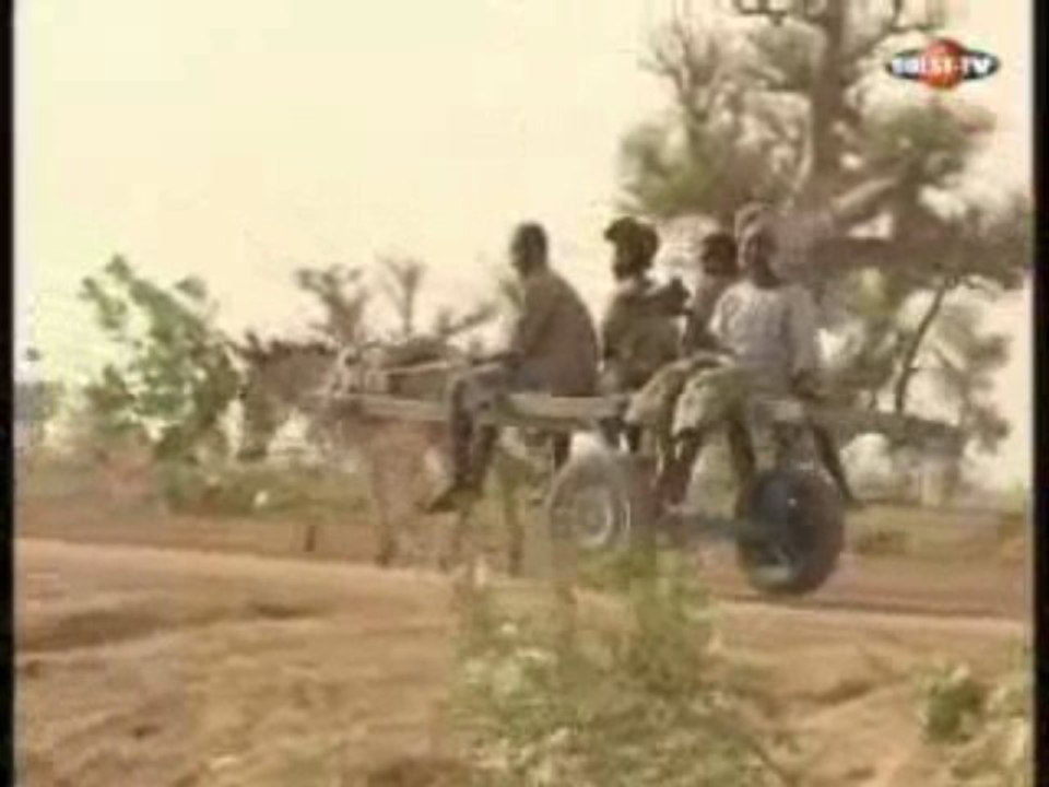 Wari - Dimanche 1er Novembre 2009