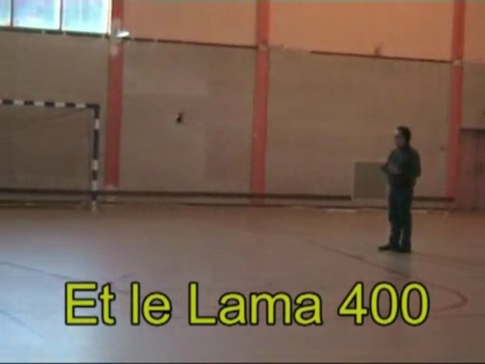 14-11-2009 Un lama 2 et un lama 400