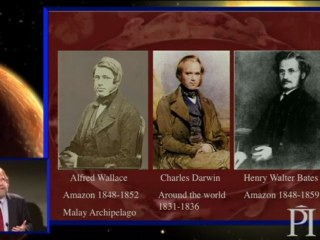 Remarkable Creatures