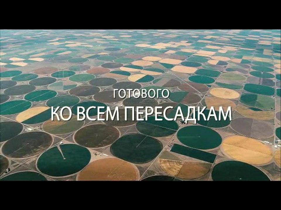 "Мне бы в небо", русский трейлер