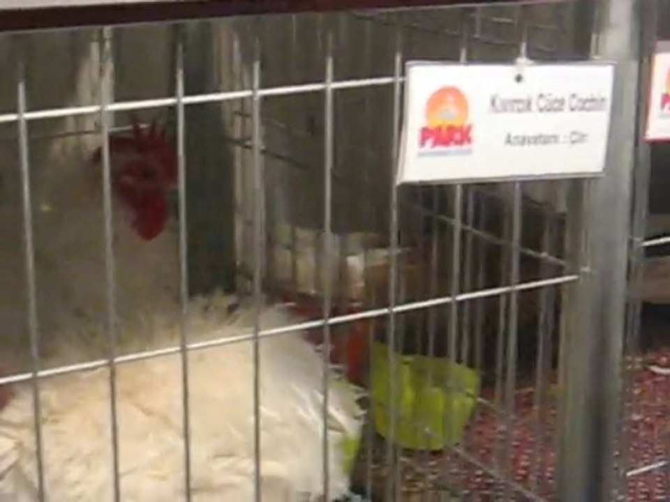 Bursa Tarım Fuarı 2009-6