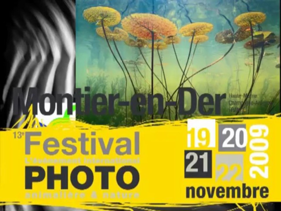 Festival  photo 2009 - Montier en Der (Haute-Marne)