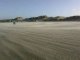 Quend-21 nov-16°-mais un vent à décorner.....le sable