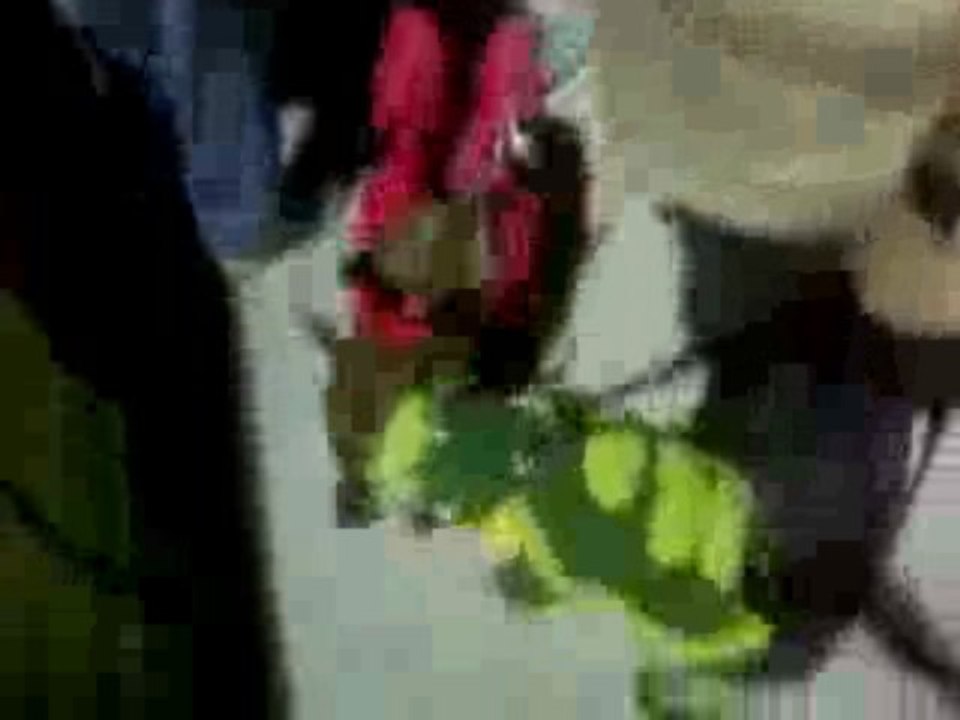 wally devil & dragon