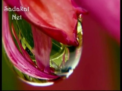 Aşıklar Ağlar-Mehmet Emin Ay [Kaside]