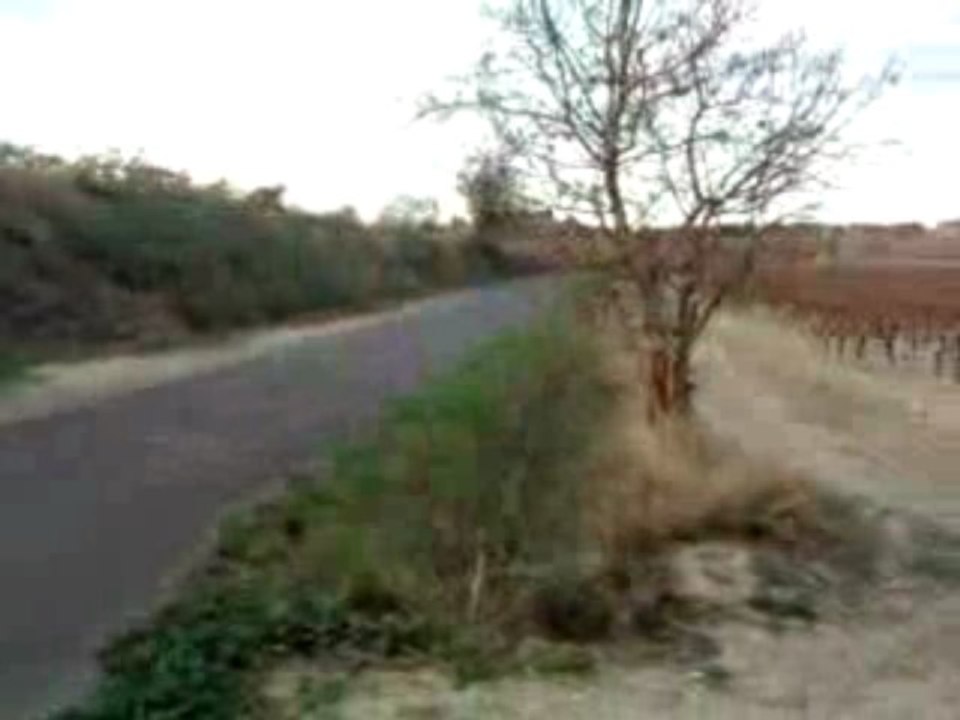 Derbi Altec Racing GP