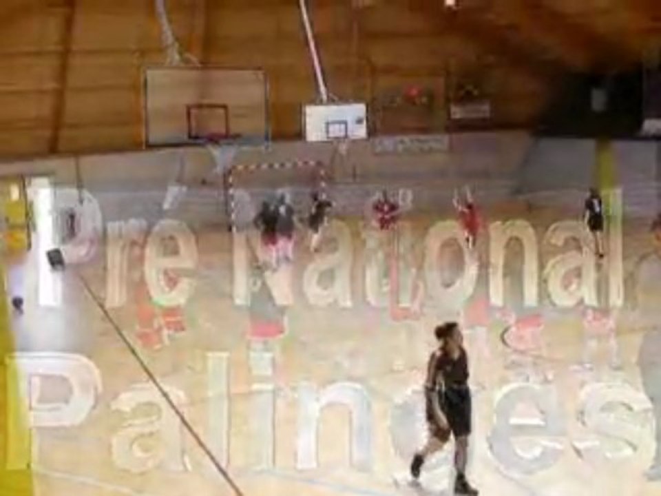 Palinges Basket fille  pre national