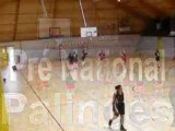 Palinges Basket fille  pre national