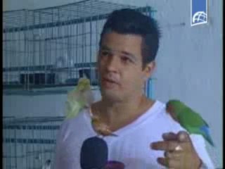 Intercambian experiencias ornitólogos cubanos