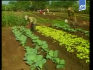 Especialistas discuten sobre una agricultura saludable