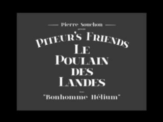 Pierre SOUCHON - "Piteur's Friends" - Le Poulain des Landes