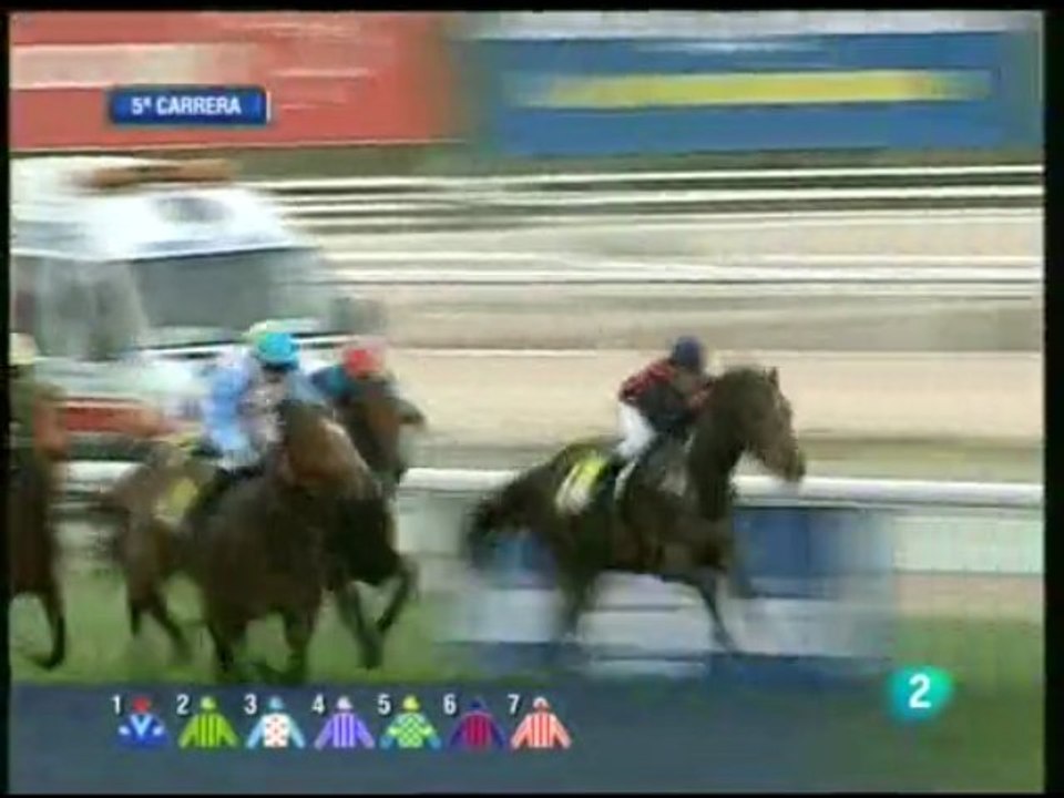 2009.11.15, nº 443 LZ (Veil Picard (2a, C) Norris