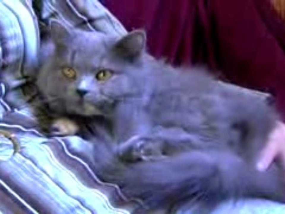 Diabolique mode câlin