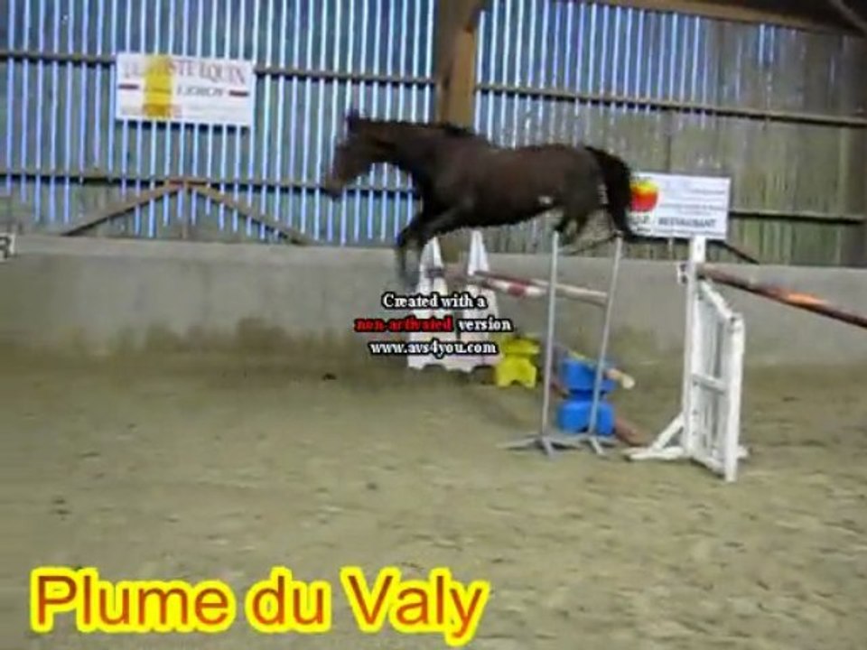 Plume du valy