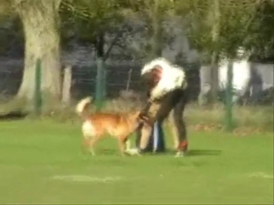 Azar, concour londiniere 2009