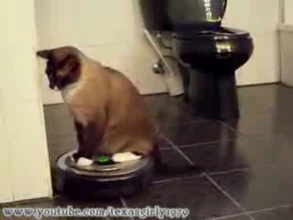 CHAT1