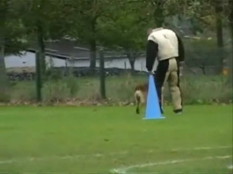 Vexin du domaine de sainte mathilde, concour londiniere 2009