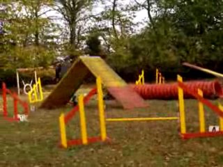 Cédille agility