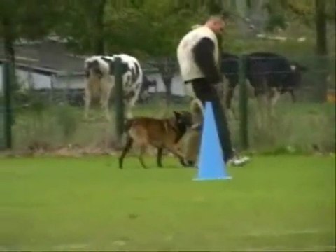 V'Morris, concour londiniere 2009