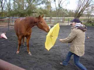 Shan et son parapluie