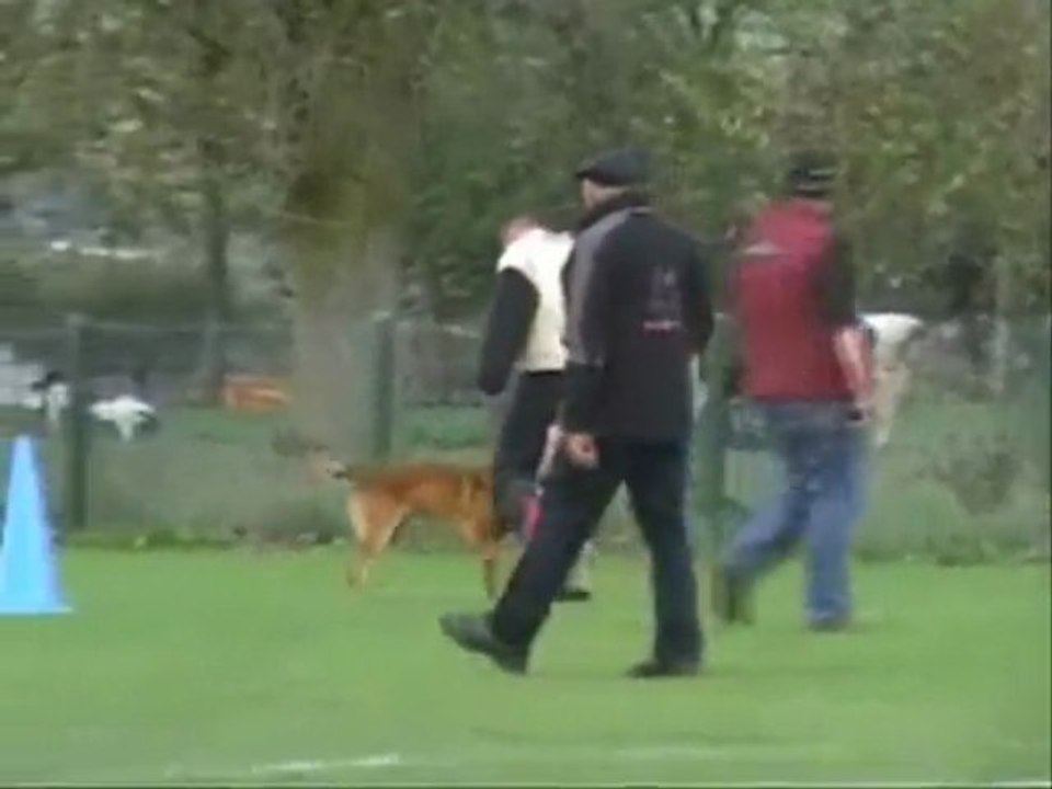 bundy, concour londiniere 2009