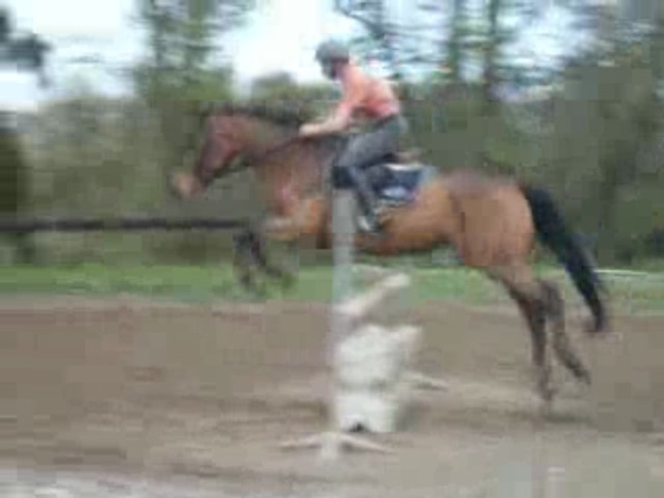 Rangoun/Bubu8
