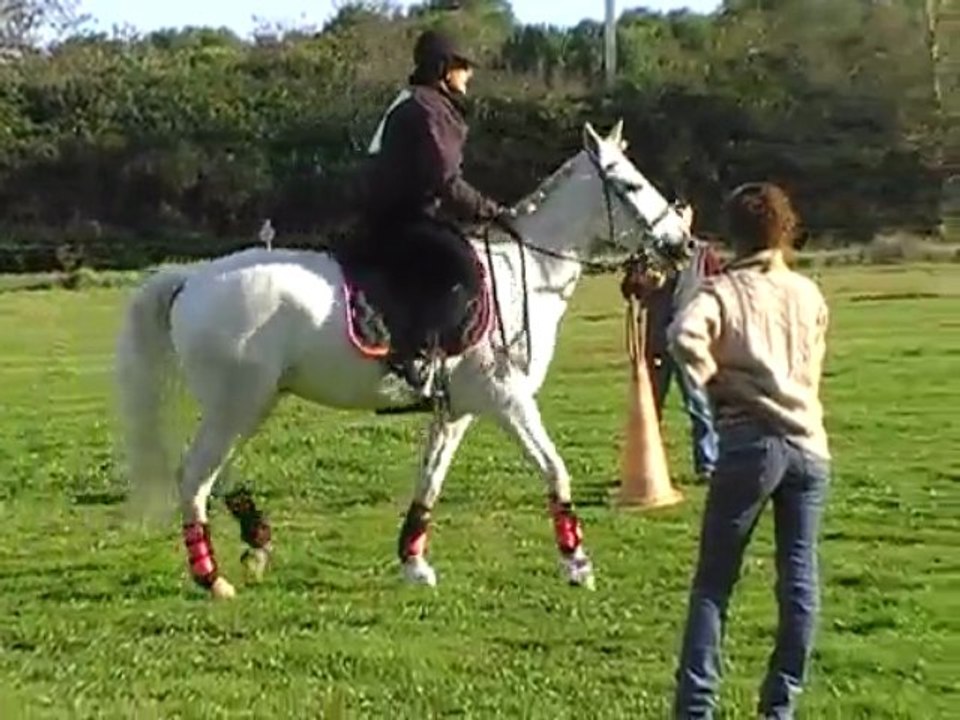 cross laurene