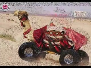 paka 60 photo quad divers